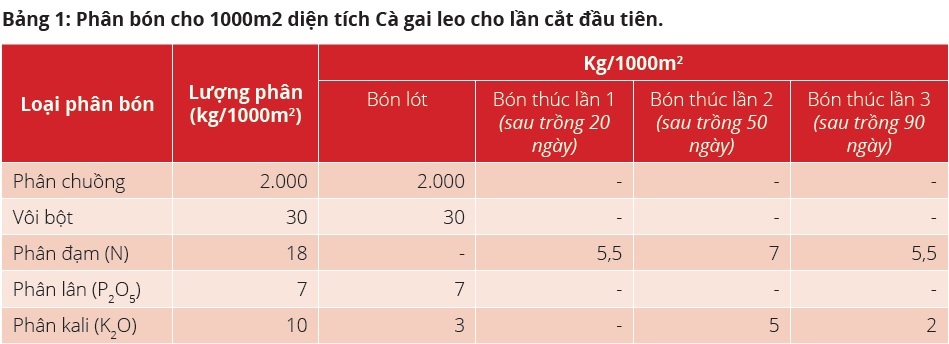 C25C325A02Bgai2Bleo2B2528Solanum2Bhainanense2BHance25292B4