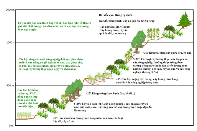 Hình 1: Các hệ thống canh tác phổ biến theo độ dốc và độ cao tại vùng Trung du miền núi phía Bắc