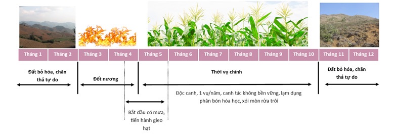 Minh2Bh25E125BB258Da2Bth25E125BB259Di2Bv25E125BB25A52Bcanh2Bt25C325A1c2B25C4259125E125BB2599c2Bcanh2Bng25C325B42Btr25C325AAn2B25C4259125E125BA25A5t2Bd25E125BB2591c2Bt25E125BA25A1i2BS25C625A1n2BLa