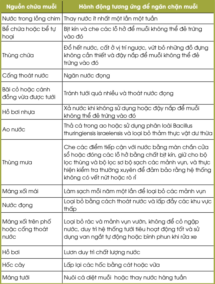 MỘT SỐ NGUỒN CHỨA MUỖI & PHƯƠNG PHÁP NGĂN CHẶN MUỖI XUNG QUANH NHÀ